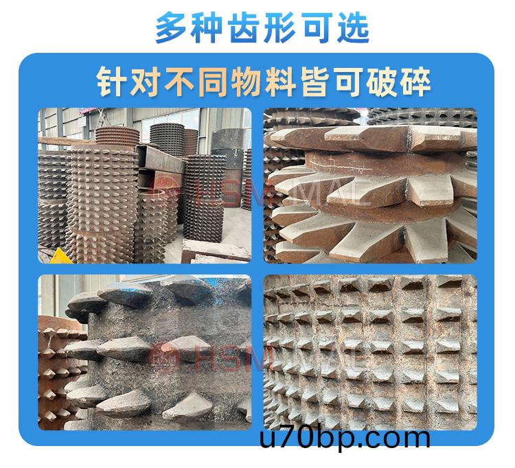 齒(chi)輥破碎(sui)機(ji)pg