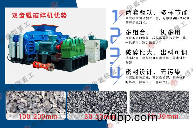 碎煤(mei)廠(chang)齒輥破(po)