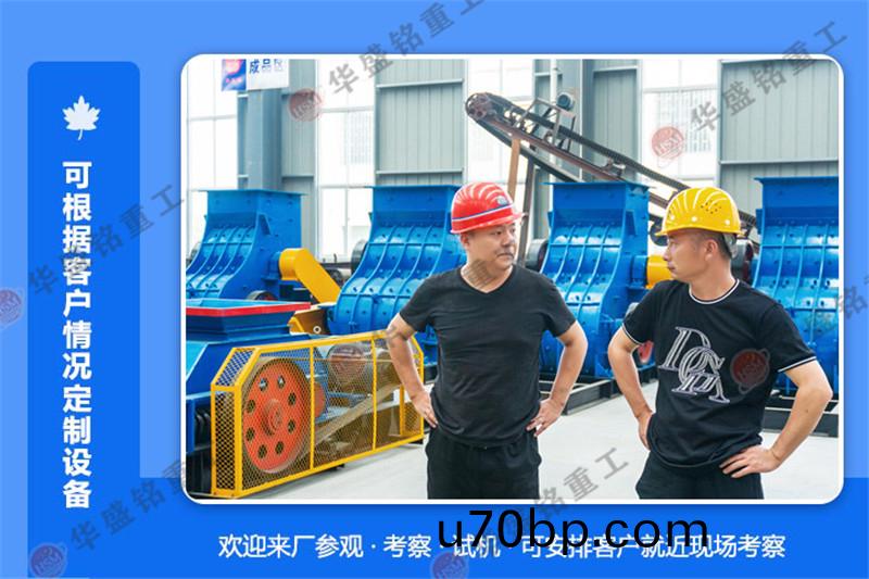 大型對輥破碎(sui)機