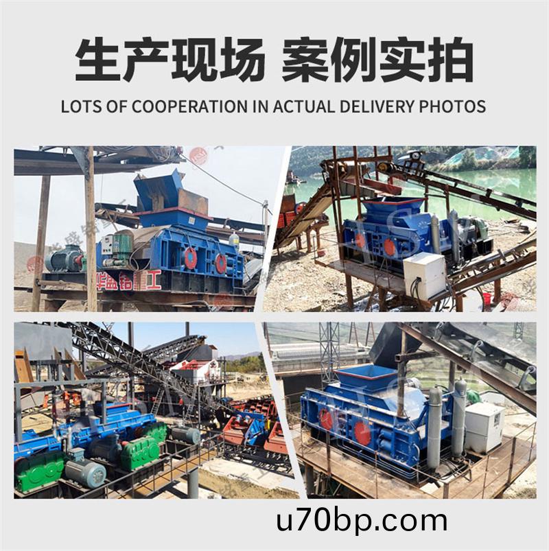 對輥破(po)碎機
